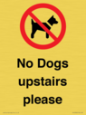 no-dogs-upstairs-please-~